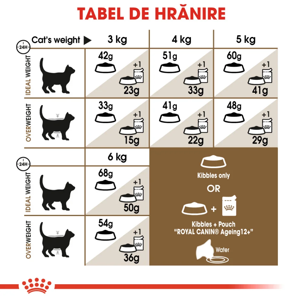 ROYAL CANIN Ageing 12+, hrană uscată pisică senior, 2kg [8]
