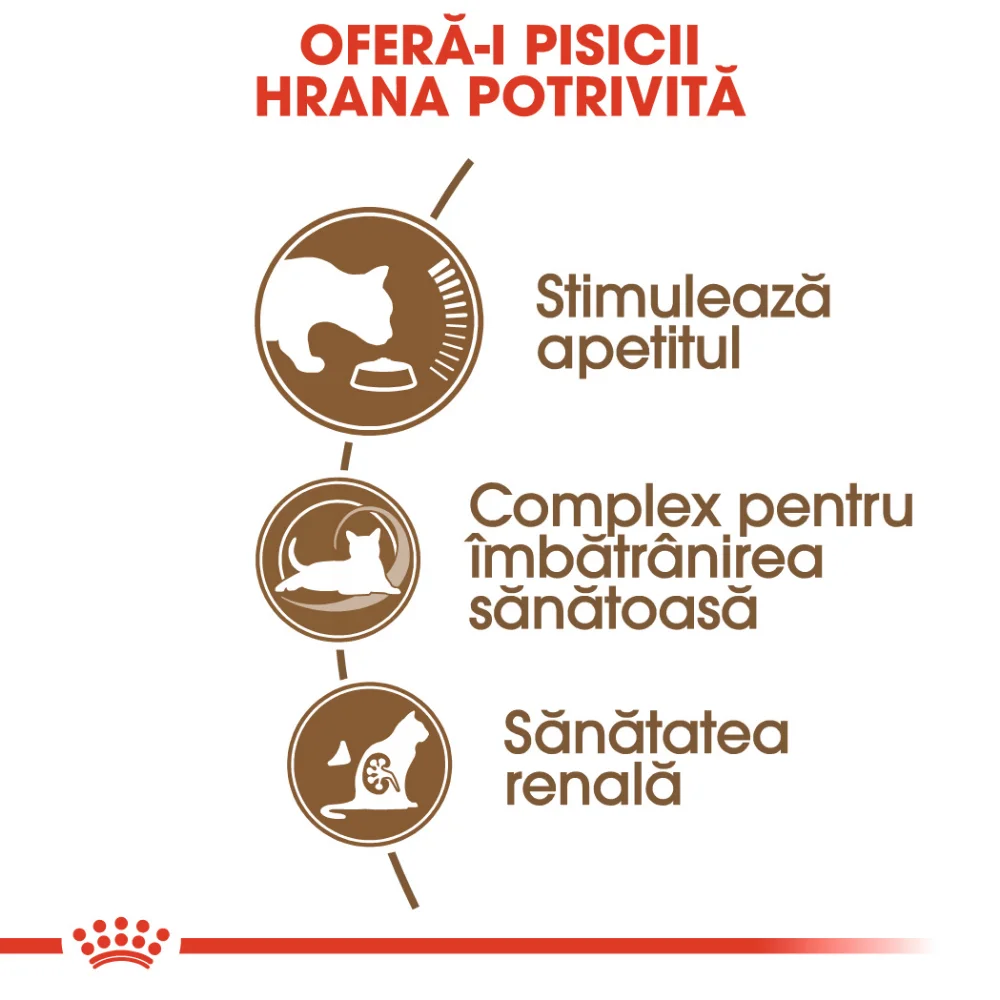 ROYAL CANIN Ageing 12+, hrană uscată pisică senior, 2kg [4]