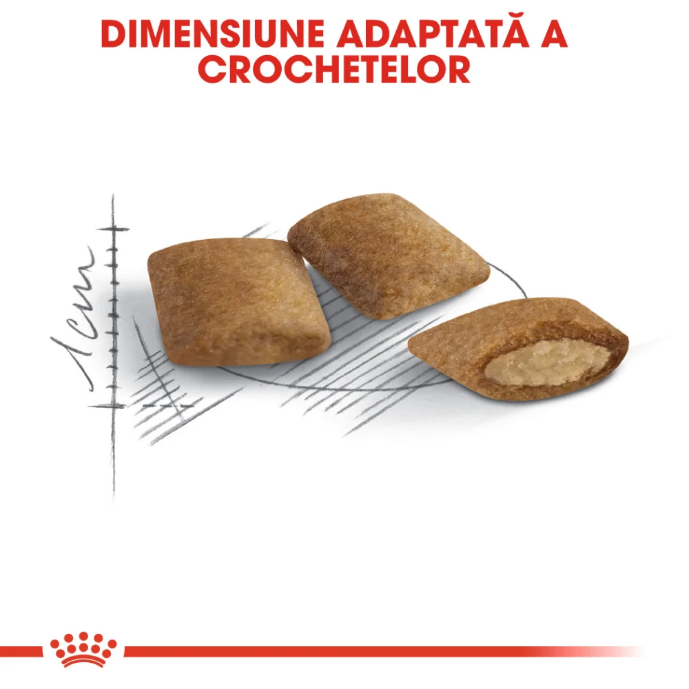 ROYAL CANIN Ageing 12+, hrană uscată pisică senior, 400g [5]