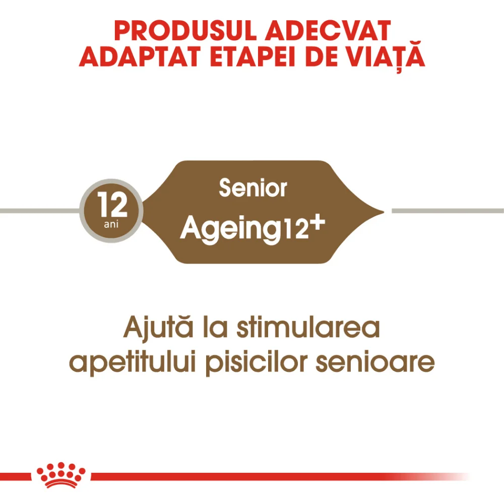 ROYAL CANIN Ageing 12+, hrană uscată pisică senior, 400g [6]