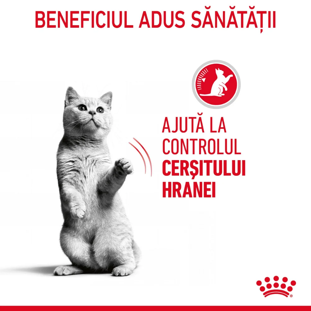 ROYAL CANIN Appetite Control Care, hrană umedă pisici, adult sterilizat, reglarea apetitului, (în sos), 12x85g [5]