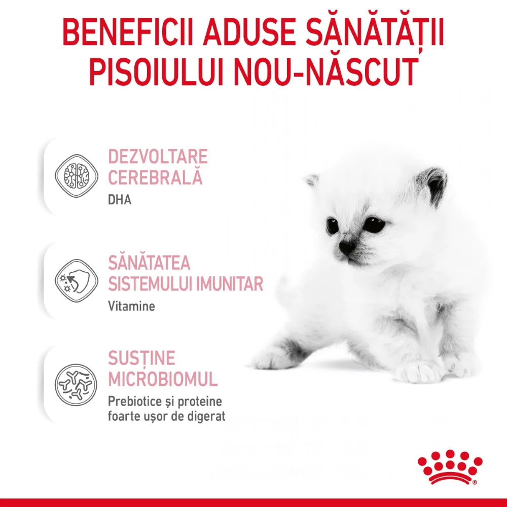 ROYAL CANIN BabyCat Milk, înlocuitor lapte matern pisică, 300g [4]