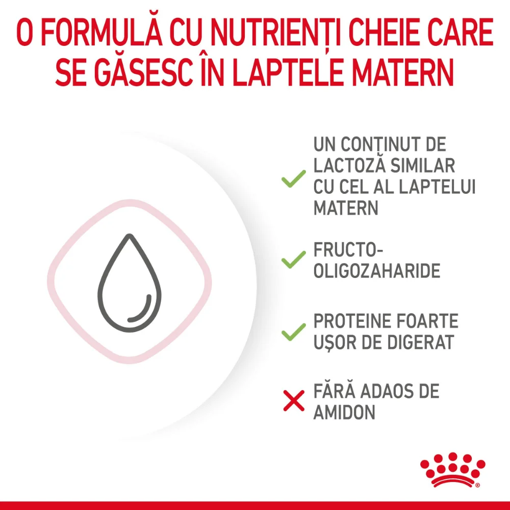 ROYAL CANIN BabyCat Milk, înlocuitor lapte matern pisică, 300g [6]