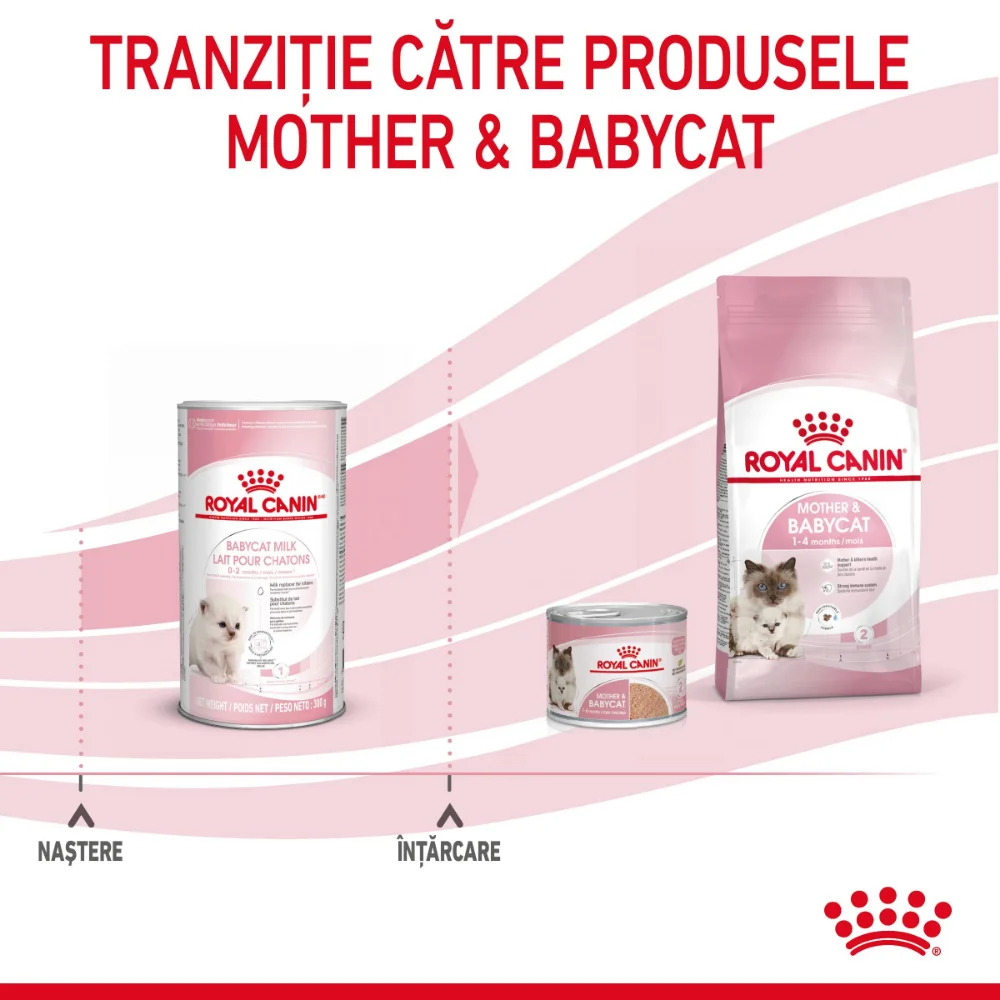 ROYAL CANIN BabyCat Milk, înlocuitor lapte matern pisică, 300g [10]