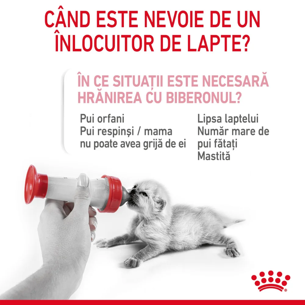 ROYAL CANIN BabyCat Milk, înlocuitor lapte matern pisică, 300g [5]