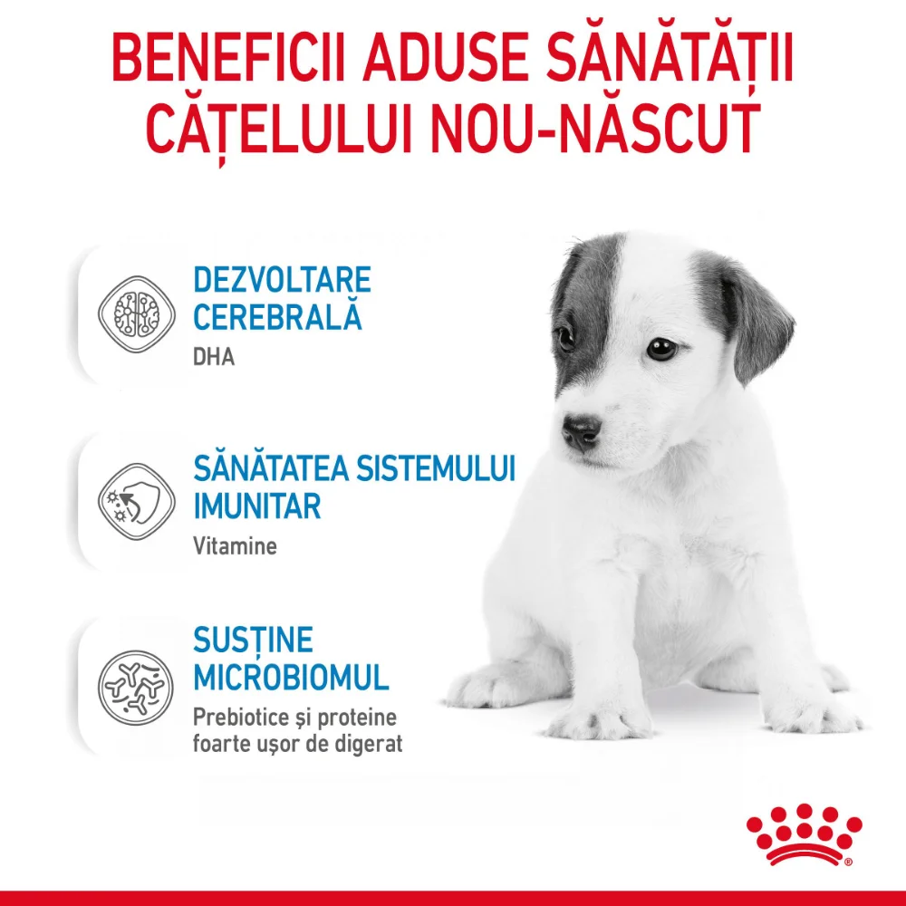 ROYAL CANIN Babydog Milk, înlocuitor lapte matern câine, 400g [4]