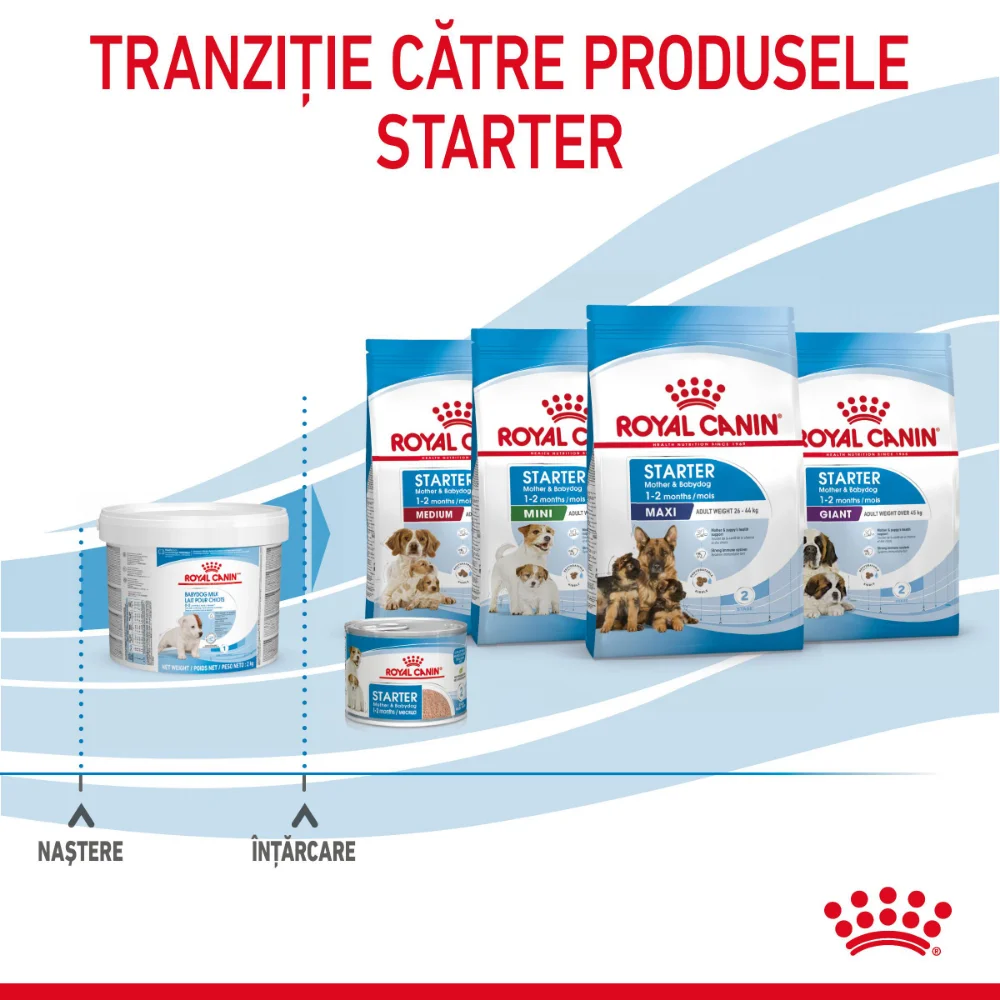ROYAL CANIN Babydog Milk, înlocuitor lapte matern câine, 400g [10]