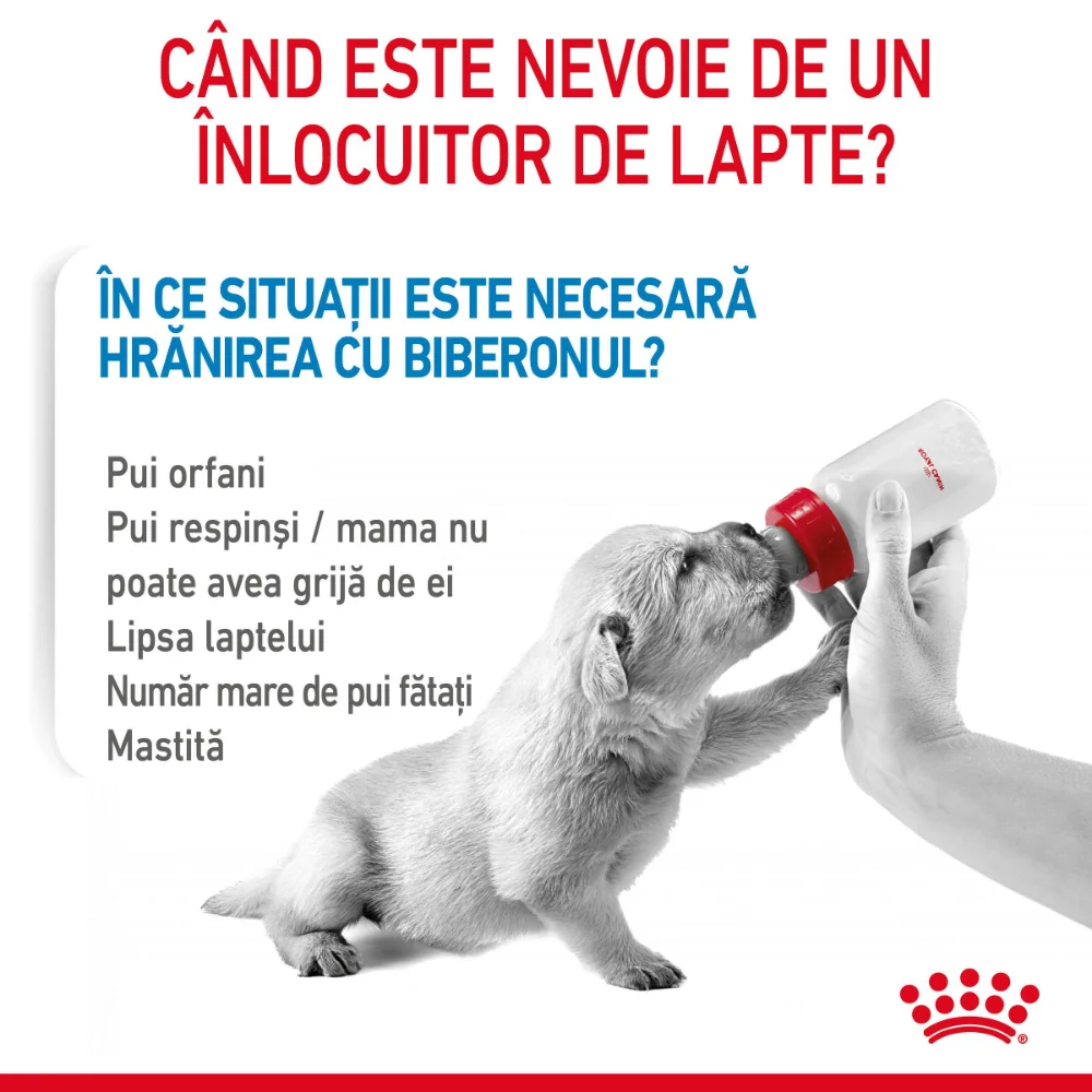 ROYAL CANIN Babydog Milk, înlocuitor lapte matern câine, 400g [5]