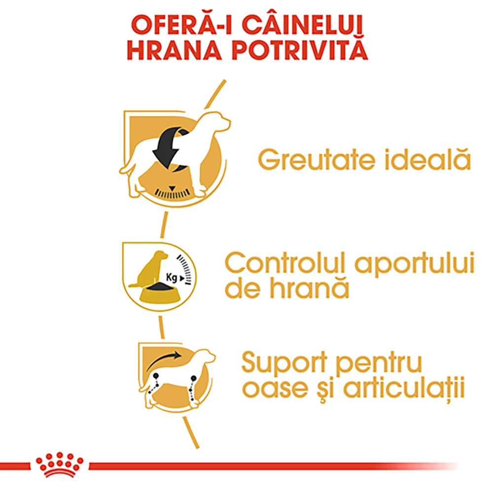 ROYAL CANIN Beagle Adult, hrană uscată câine, 3kg [4]