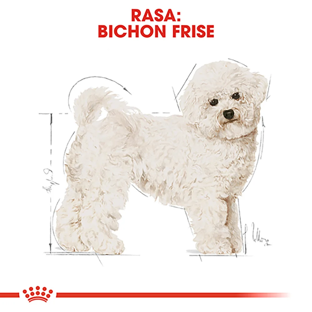 ROYAL CANIN Bichon Frise Adult, hrană uscată câine, 500g [6]