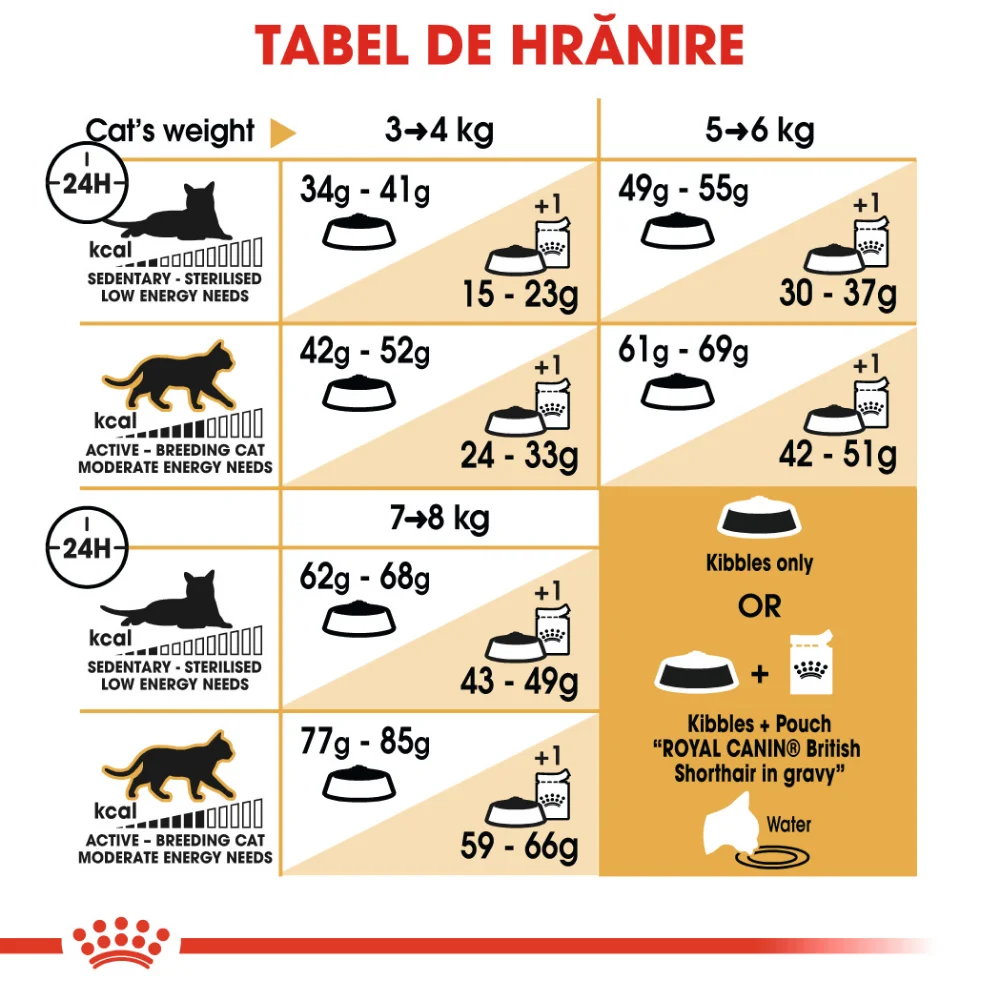 ROYAL CANIN British Shorthair Adult, hrană uscată pisică, 10kg [7]