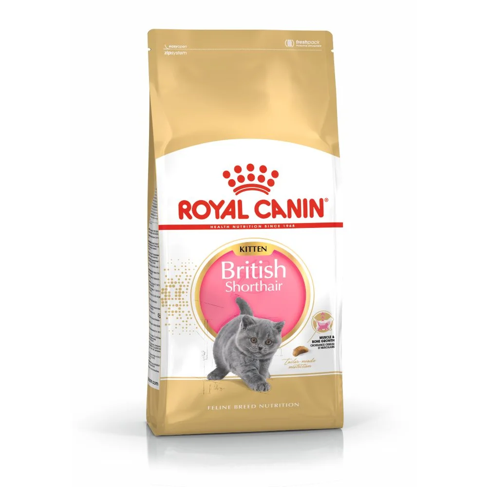 ROYAL CANIN British Shorthair Kitten, hrană uscată pisică junior, 10kg [2]