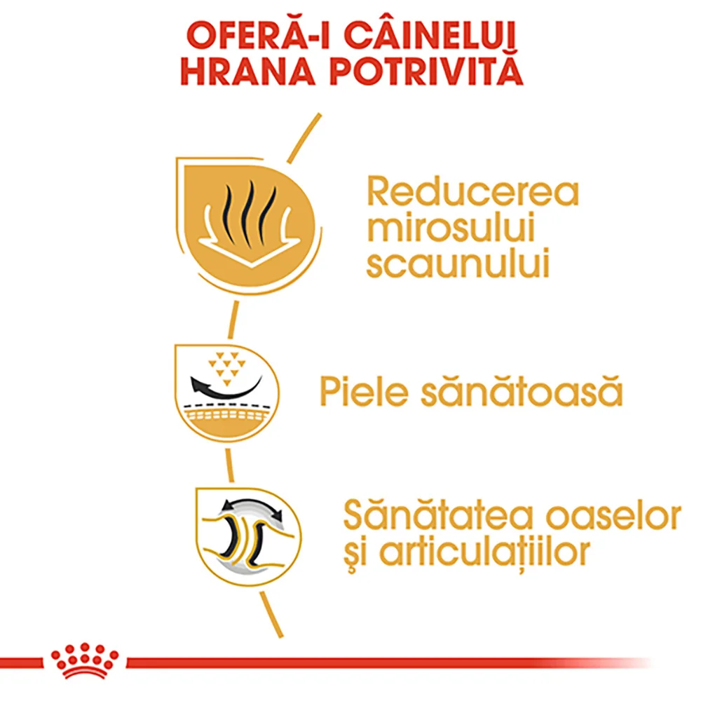 ROYAL CANIN Bulldog Adult, hrană uscată câine, 3kg [4]