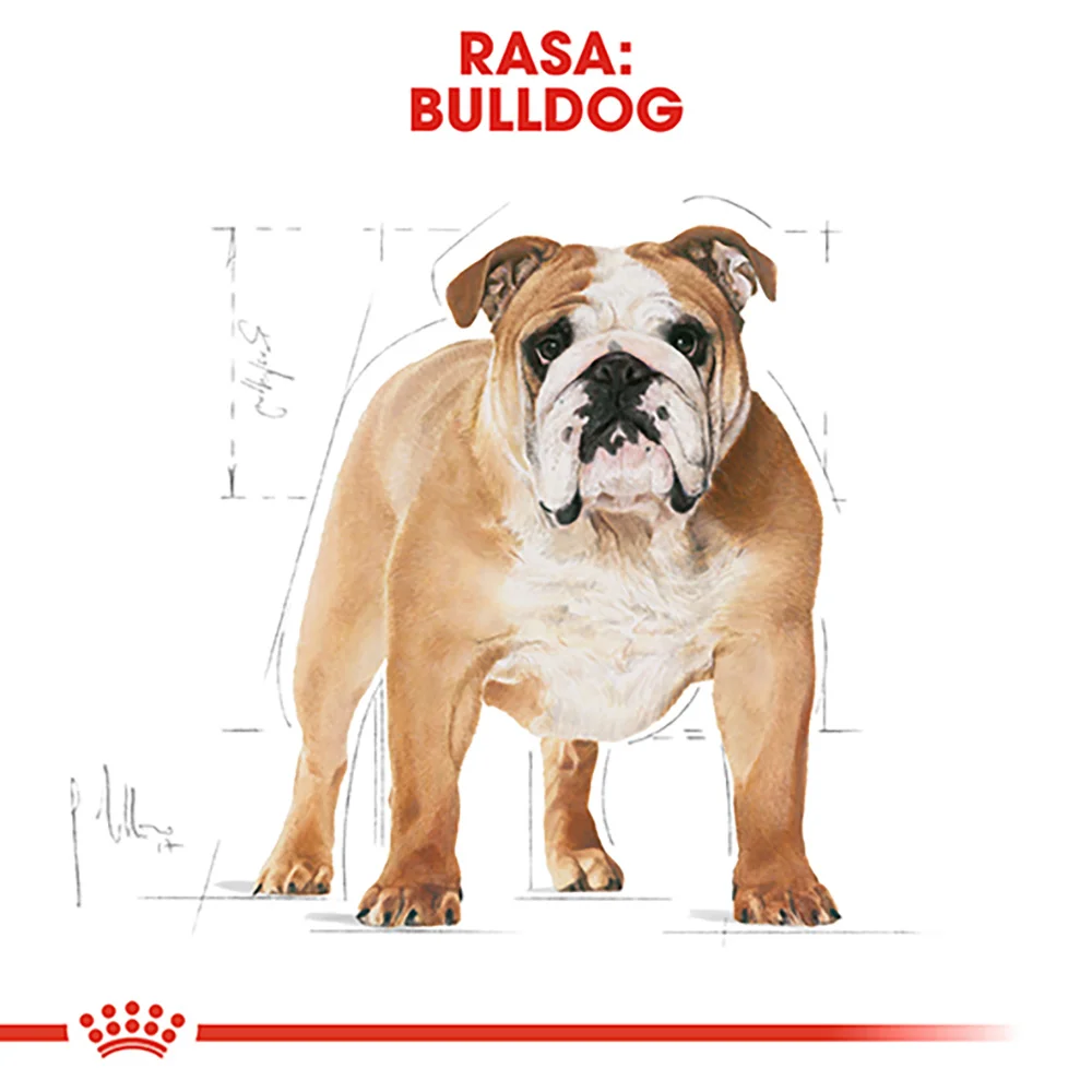 ROYAL CANIN Bulldog Adult, hrană uscată câine, 3kg [6]