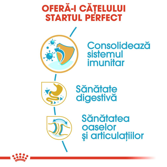 ROYAL CANIN Bulldog Puppy 12kg – DELISTAT [4]