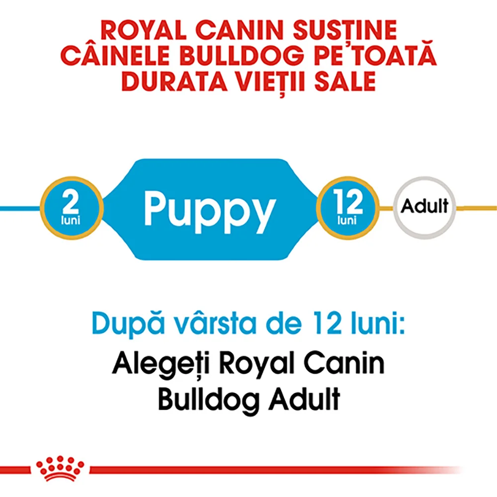 ROYAL CANIN Bulldog Puppy, hrană uscată câine junior, 3kg [7]