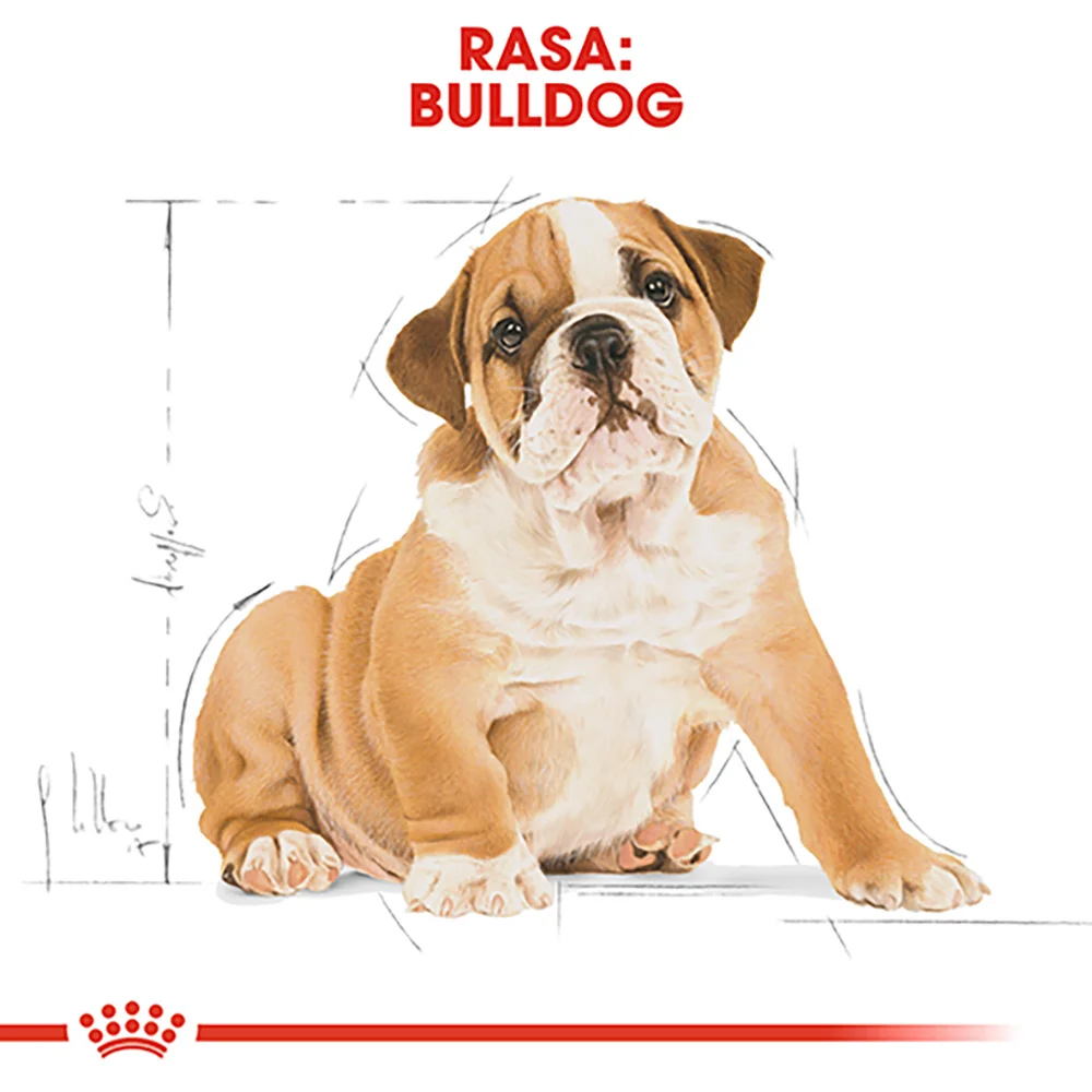 ROYAL CANIN Bulldog Puppy, hrană uscată câine junior, 3kg [6]