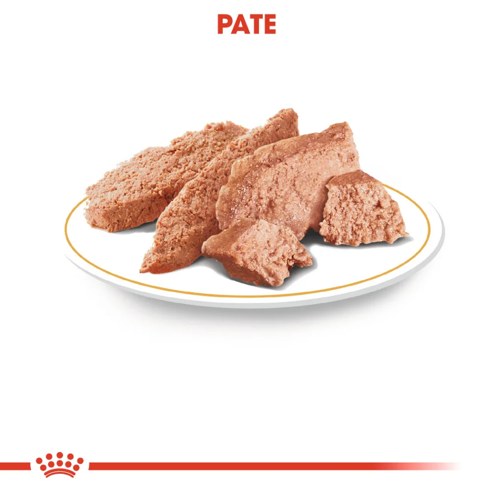 ROYAL CANIN Chihuahua Adult, hrană umedă câine (pate), 12x85g [4]
