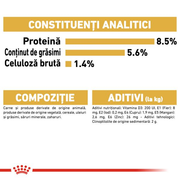 ROYAL CANIN Chihuahua Adult, hrană umedă câine (pate), 12x85g [6]