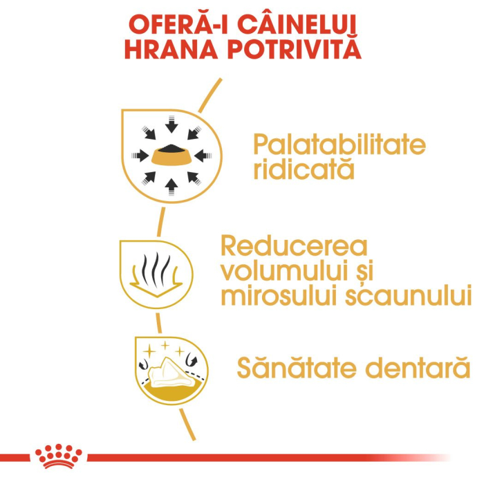 ROYAL CANIN Chihuahua Adult, hrană uscată câine, 1,5kg [4]