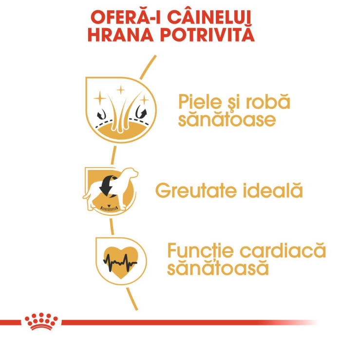 ROYAL CANIN Cocker Adult, hrană uscată câine, 3kg [3]