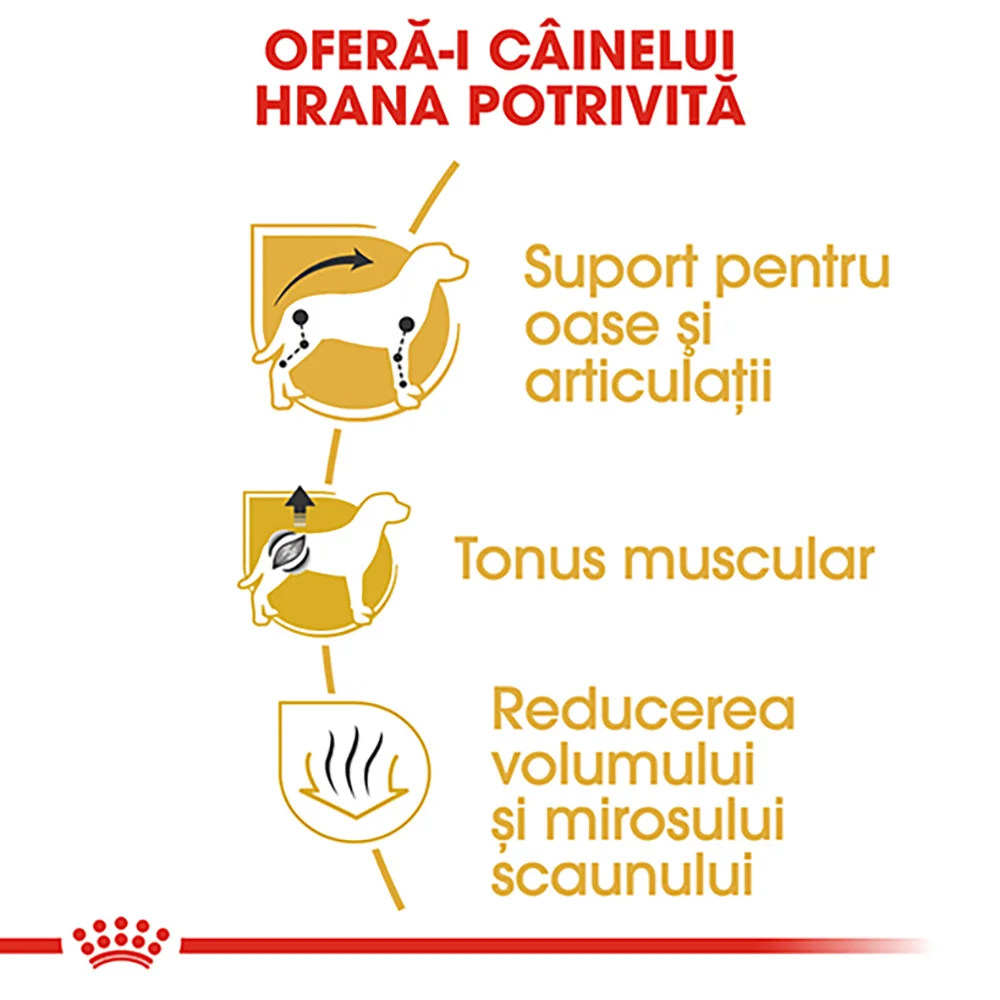 ROYAL CANIN Dachshund Adult, hrană uscată câine Teckel, 1,5kg [4]