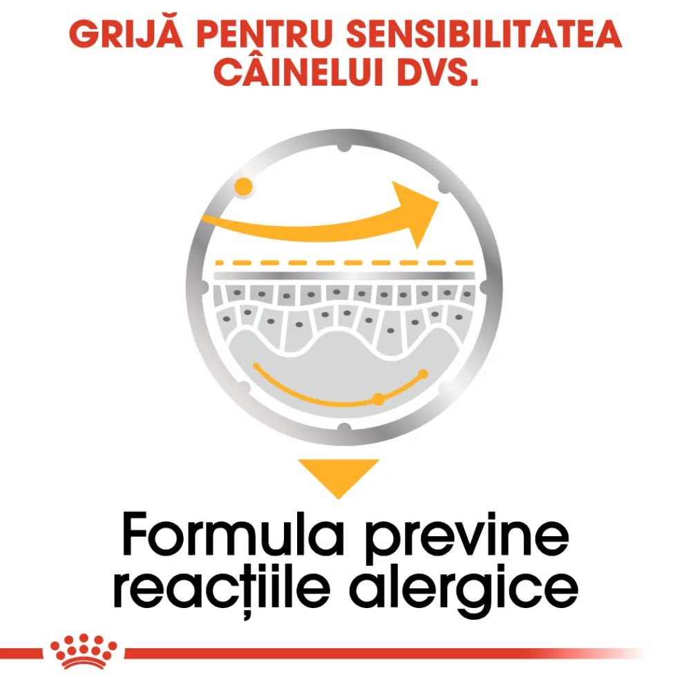 ROYAL CANIN Dermacomfort Adult, hrană umedă câine, prevenirea iritațiilor pielii (pate), 12x85g [3]