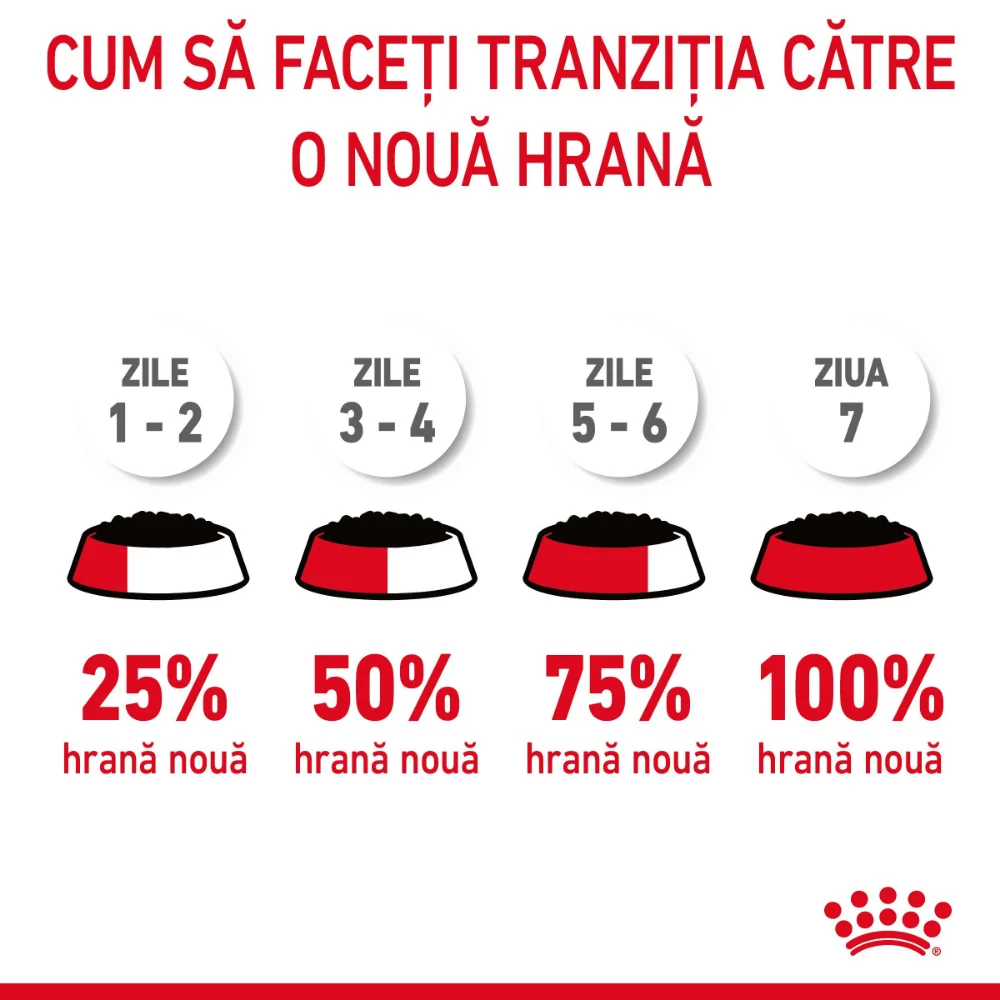 ROYAL CANIN Digest Sensitive Care Adult, hrană umedă pisică, confort digestiv (în sos), 12x85g [11]