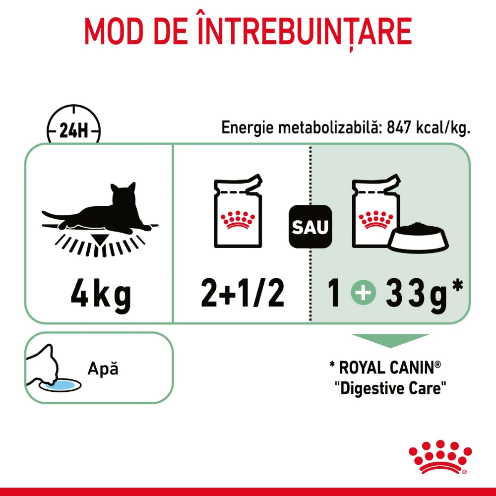 ROYAL CANIN Digest Sensitive Care Adult, hrană umedă pisică, confort digestiv (în sos), 12x85g [10]