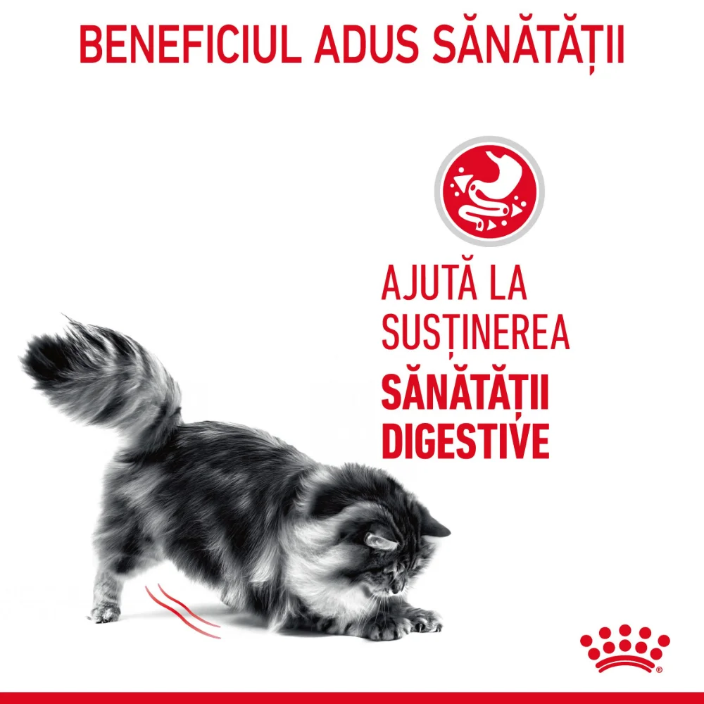 ROYAL CANIN Digest Sensitive Care Adult, hrană umedă pisică, confort digestiv (în sos), 12x85g [5]