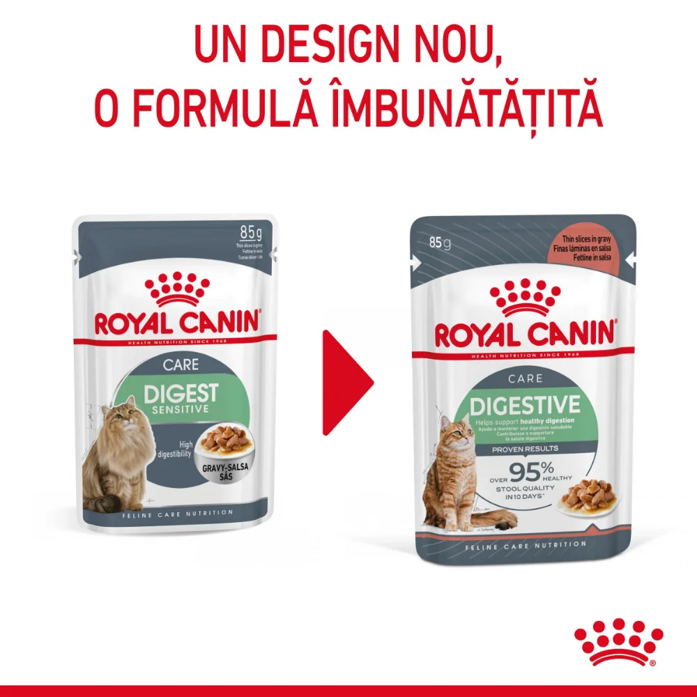 ROYAL CANIN Digest Sensitive Care Adult, hrană umedă pisică, confort digestiv (în sos), 12x85g [4]