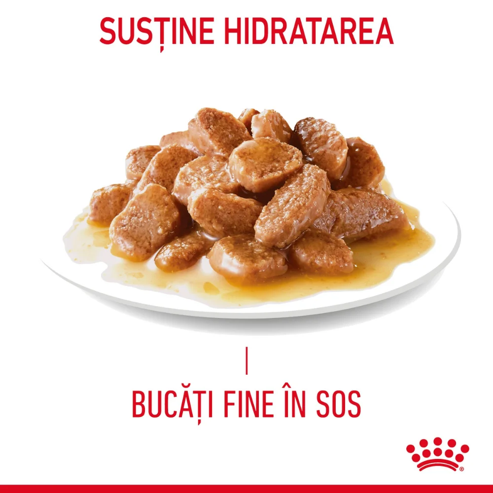 ROYAL CANIN Digest Sensitive Care Adult, hrană umedă pisică, confort digestiv (în sos), 12x85g [6]