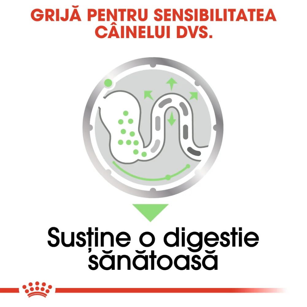 ROYAL CANIN Digestive Care Adult, hrană umedă câine, confort digestiv (pate), 12x85g [3]