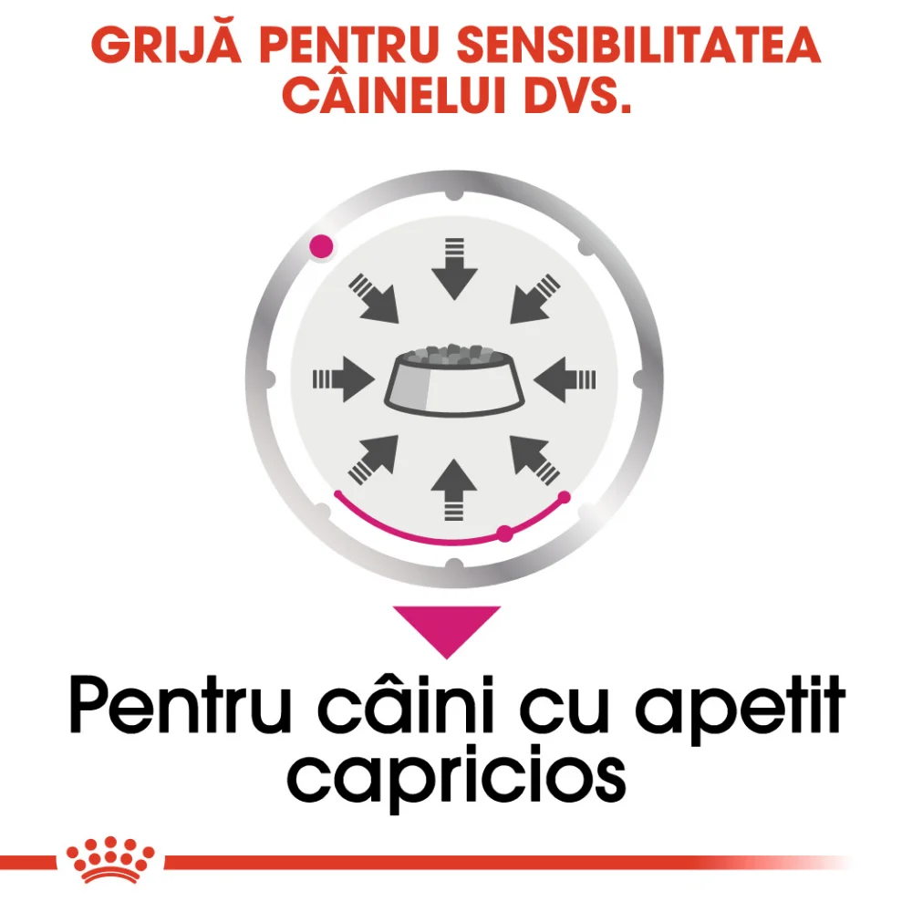 ROYAL CANIN Exigent Adult, hrană umedă câine, apetit capricios (pate), 12x85g [3]