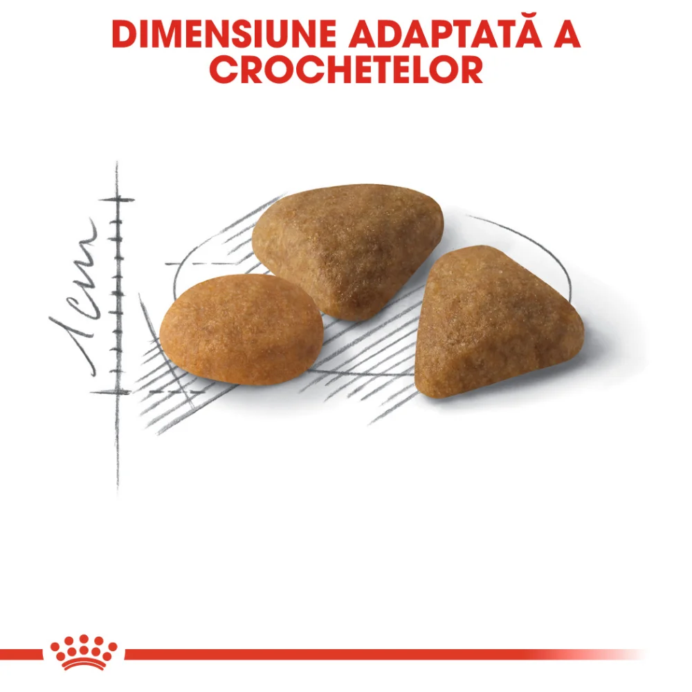 Royal Canin Exigent Savour Adult, hrană uscată pisică, apetit capricios, 10kg [5]