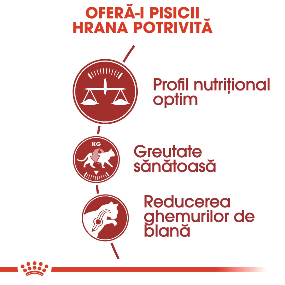 ROYAL CANIN Fit32 Adult, hrană uscată pisică, activitate fizică moderată, 2kg [4]