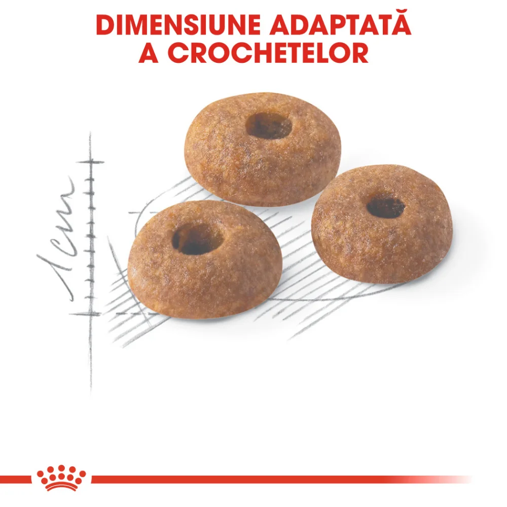 ROYAL CANIN Fit32 Adult, hrană uscată pisică, activitate fizică moderată, 400g [5]