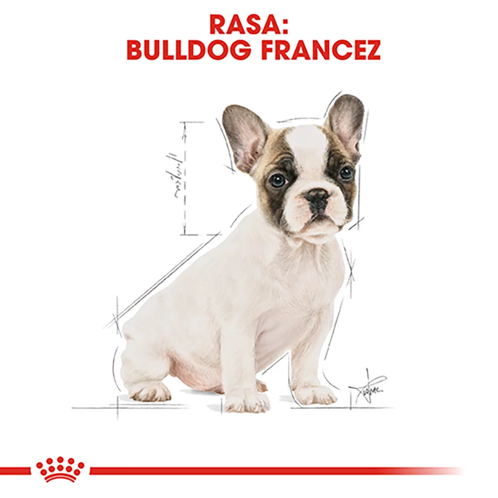 ROYAL CANIN French Bulldog Puppy, hrană uscată câine junior, 3kg [6]