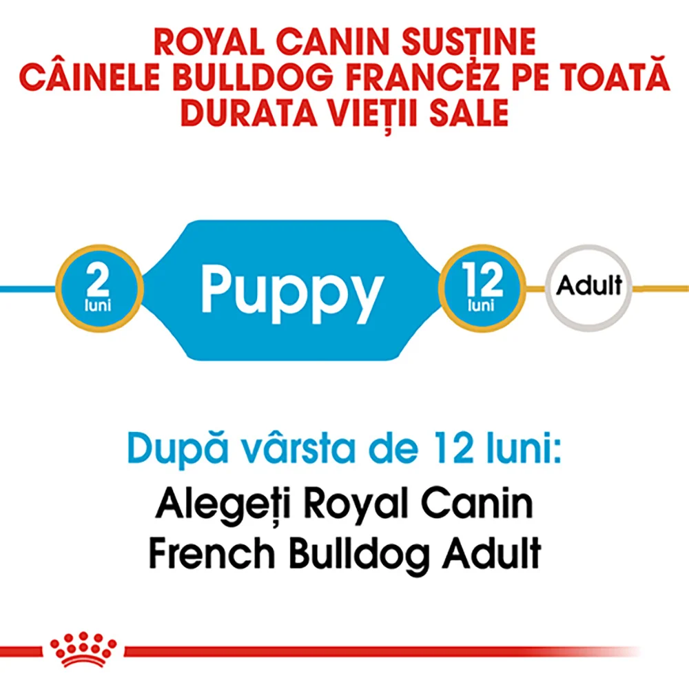 ROYAL CANIN French Bulldog Puppy, hrană uscată câine junior, 3kg [7]