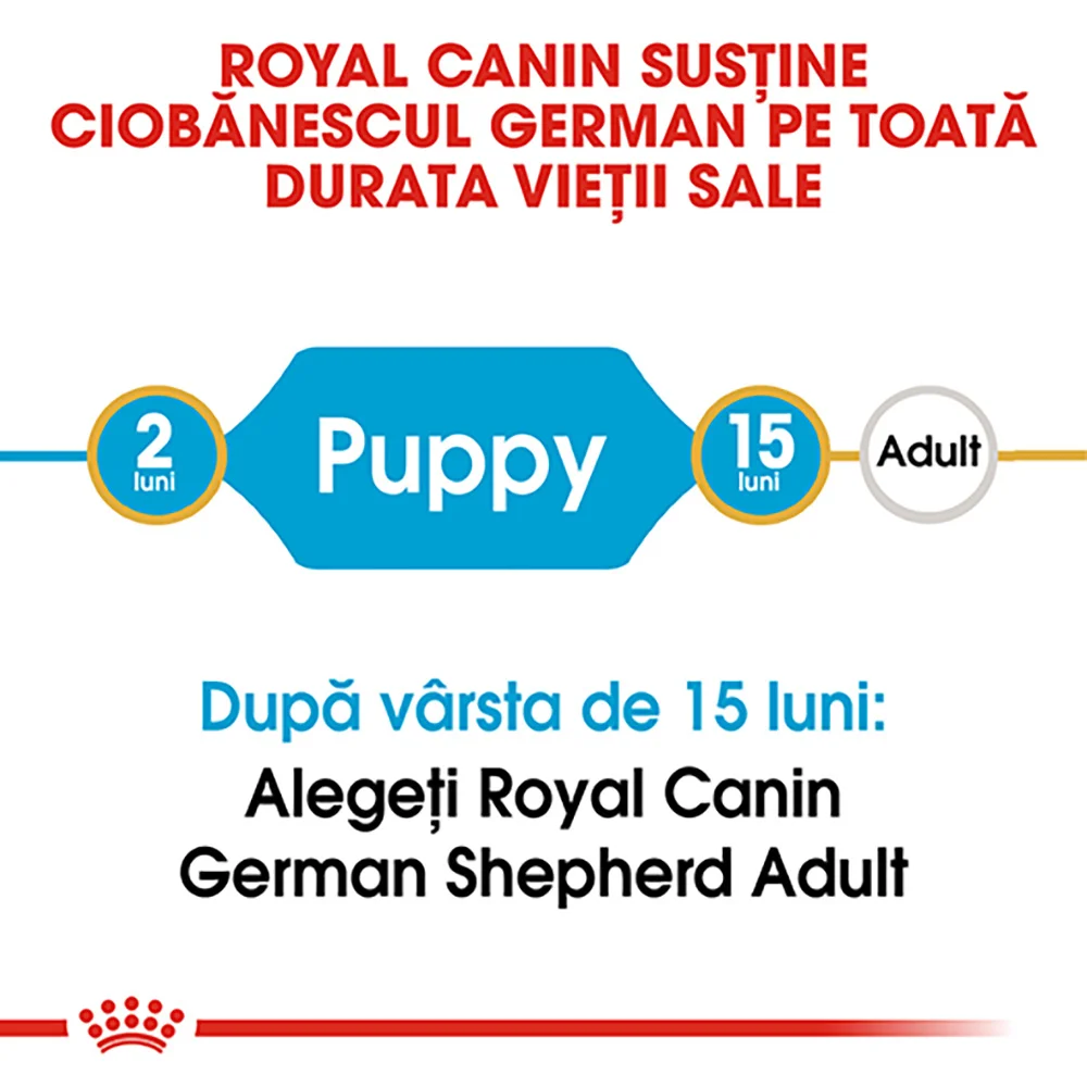 ROYAL CANIN German Shepherd Puppy, hrană uscată câine junior Ciobănesc German, 12kg [7]