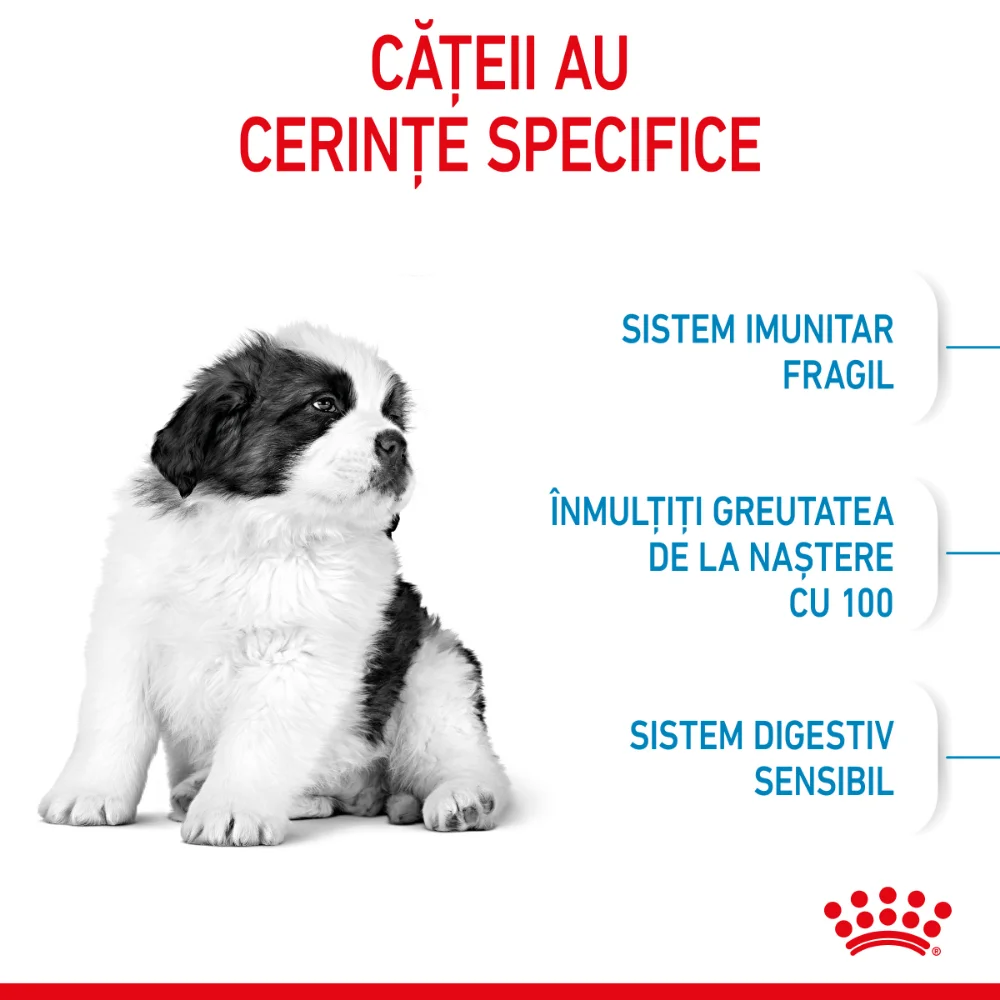 ROYAL CANIN Giant Puppy, hrană uscată câine junior etapa 1 de crestere, 15kg [4]