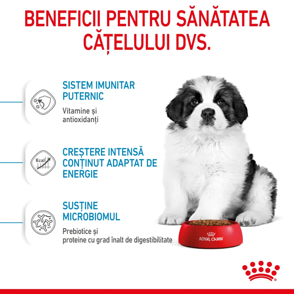ROYAL CANIN Giant Puppy, hrană uscată câine junior etapa 1 de crestere, 15kg [6]