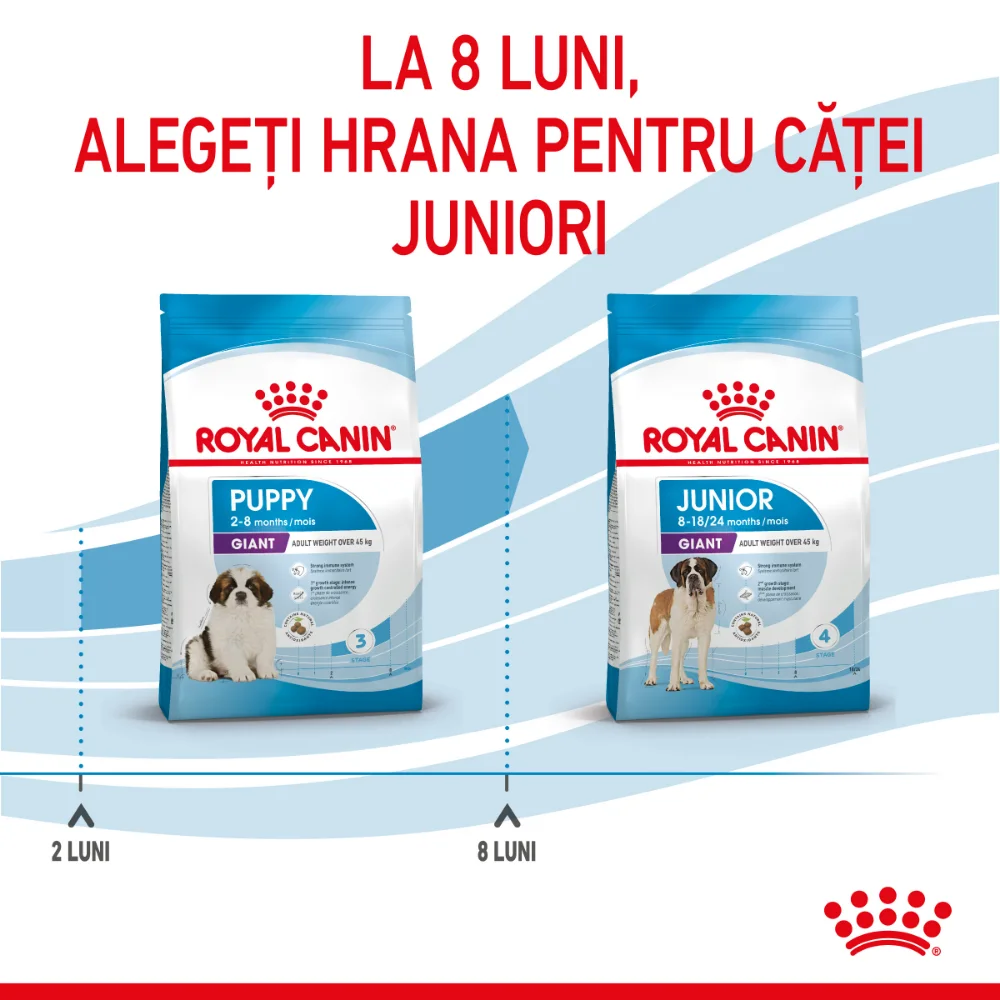 ROYAL CANIN Giant Puppy, hrană uscată câine junior etapa 1 de crestere, 15kg [10]