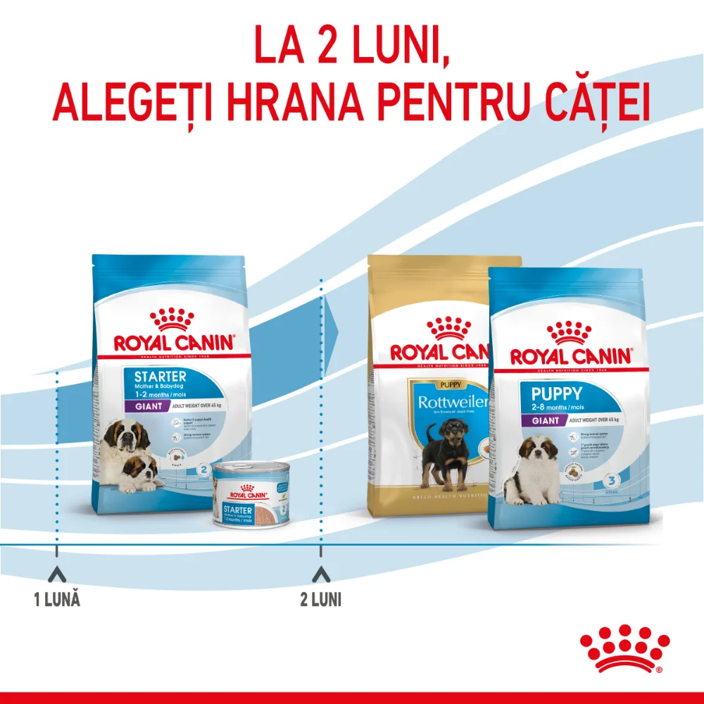 ROYAL CANIN Giant Starter Mother & Babydog, mama si puiul, hrană uscată câine, 15kg [10]