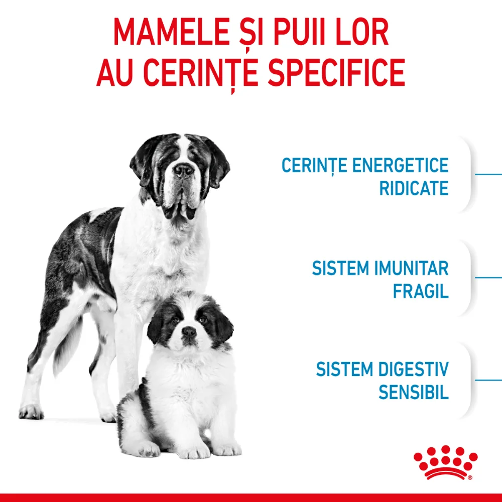 ROYAL CANIN Giant Starter Mother & Babydog, mama si puiul, hrană uscată câine, 15kg [4]