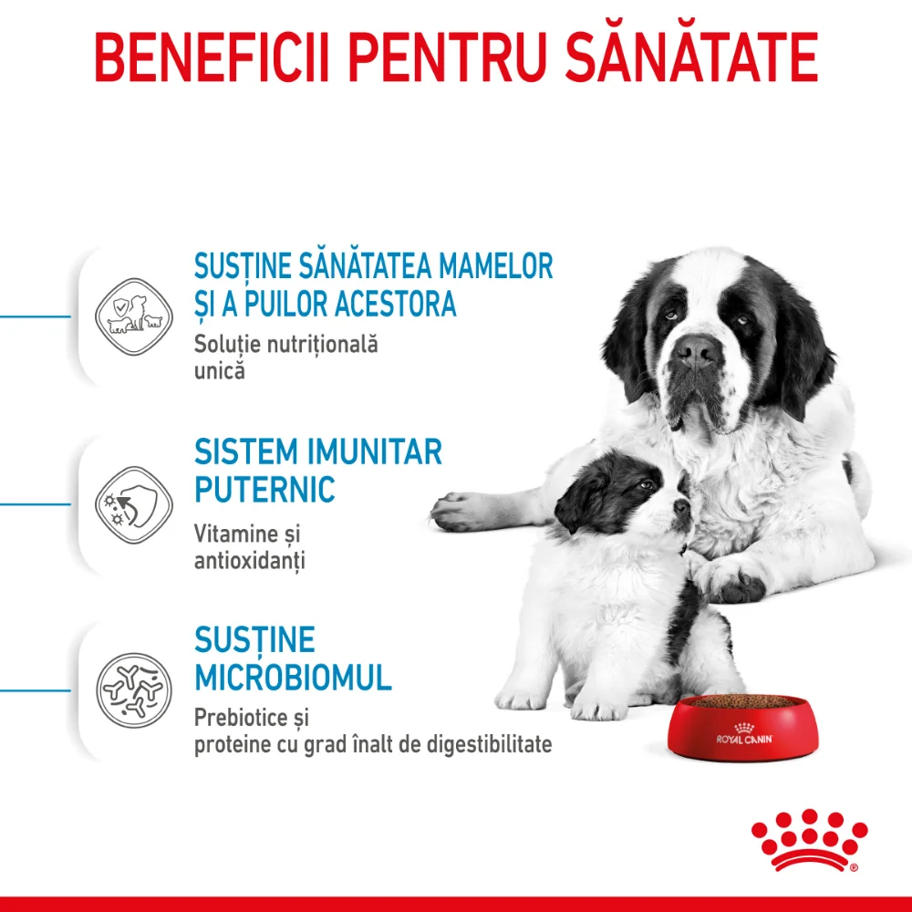 ROYAL CANIN Giant Starter Mother & Babydog, mama si puiul, hrană uscată câine, 15kg [6]