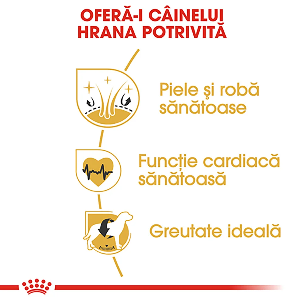 ROYAL CANIN Golden Retriever Adult, hrană uscată câine, 12kg [4]