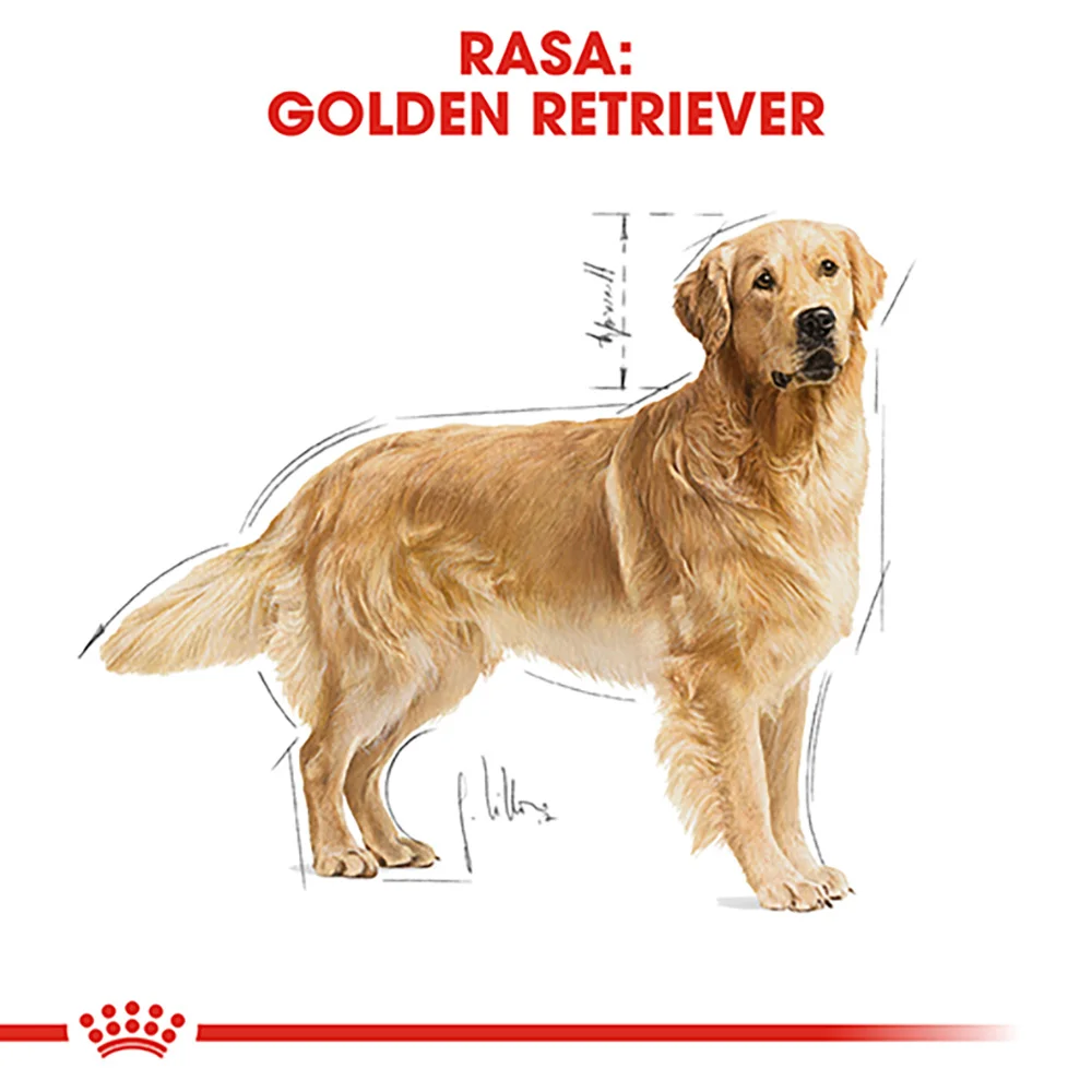 ROYAL CANIN Golden Retriever Adult, hrană uscată câine, 3kg [6]