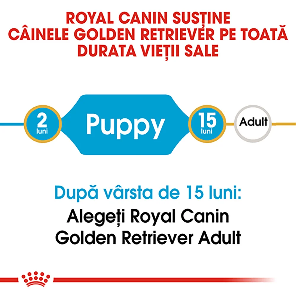 ROYAL CANIN Golden Retriever Puppy, hrană uscată câine junior, 3kg [7]
