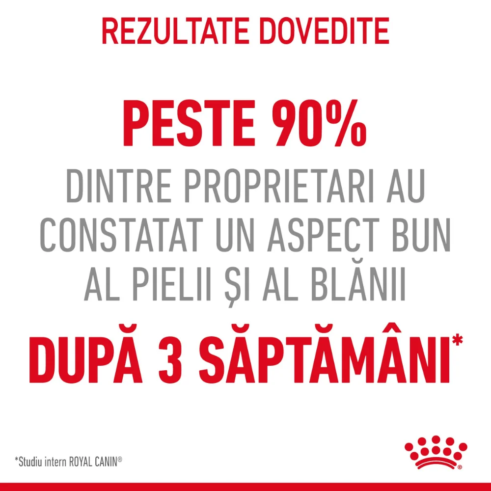 ROYAL CANIN Hair&Skin Care Adult, hrană uscată pisică, piele și blană, 4kg [10]